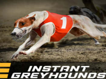 Instant Greyhounds